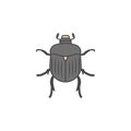 Chafer colored outline icon. One of the collection icons for websites, web design, mobile app