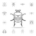 Chafer icon. Detailed set of insects line illustrations. Premium quality graphic design icon. One of the collection icons for webs