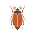 Chafer logo. Isolated chafer on white background