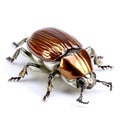 Chafer may beetle closeup isolated on white, macro of a living insect. AI generated