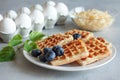 Chaffles with blueberry. Egg and cheese waffles for breakfast.