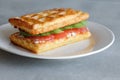 Chaffles with salmon. Egg and cheese waffles for breakfast. Keto diet Royalty Free Stock Photo