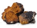 Chaga (Inonotus obliquus) - medicinal birch fungus Royalty Free Stock Photo