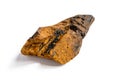 Chaga mushroom. large cleaned piece natural wild birch fungus chaga isolated on white background.