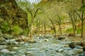 Chagan Uzun river Royalty Free Stock Photo