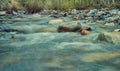 Chagan Uzun river Royalty Free Stock Photo