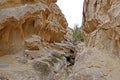 Chahkuh Canyon, Qeshm Island, Iran Royalty Free Stock Photo