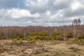 Chailey Common, Sussex