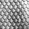 Chain armour element made of the steel plates Royalty Free Stock Photo