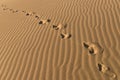 Chain Of Barefoot Footprints On Sand. Human Footprints On Sand Background. Foot Steps Walking Away.