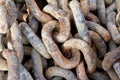 Chain with big shackles Royalty Free Stock Photo