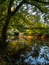 Chain bridge in autumn Royalty Free Stock Photo