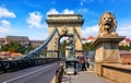 Chain bridge. Lion statue. Royal palace. Budapest, Hungary. Royalty Free Stock Photo