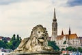 Chain Bridge Lion Matthias Church Budapest Hungary Royalty Free Stock Photo