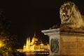 Chain bridge lion with Parliament in Budapest
