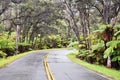 Chain of Craters Road, Hawaii Volcanoes National P