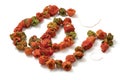 Chain of dried peppers, Biber Kurusu, isolated on white background Royalty Free Stock Photo