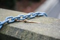 Chain and dried tree leaf