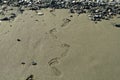 Chain of footprints on beach sand Royalty Free Stock Photo