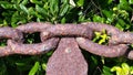 Chain And Green Leaves Royalty Free Stock Photo