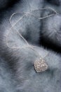 Chain with heart on fur