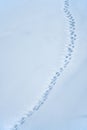 Chain of human footprints in the snow. Natural winter background Royalty Free Stock Photo