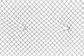 Chain link fence