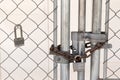 Chain link fence with lock & chain and additional lock Royalty Free Stock Photo