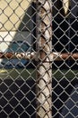 Urban Chain Link Closeup Abstract Texture Background