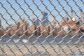 Urban Chain Link Closeup Abstract Texture Background Royalty Free Stock Photo