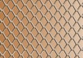 Chain link fence with copper background