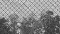 Chain link fence in front of big tree in a jail Royalty Free Stock Photo