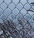 Vertical Orientation Winter Ice Background Royalty Free Stock Photo