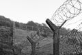 Chain-link fencing and Barbed wire Royalty Free Stock Photo