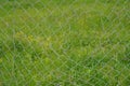 Chain link fencing with a hole in it. There is green meadow in the background. Royalty Free Stock Photo