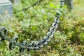 Chain at old beautiful semetery in Finland