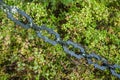 Chain at old beautiful semetery in Finland