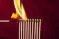 Chain reaction in matches. Royalty Free Stock Photo