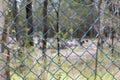 Chain Wire fence surrounding a cemetary Royalty Free Stock Photo