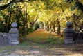 Chained Gateway leading to Avenue of Horse Chestnut Trees Royalty Free Stock Photo