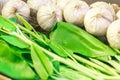 Chainese Kele and garlic Royalty Free Stock Photo