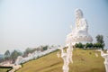 Thai-Chinese temple - wat hyua pla kang - Chiang Rai Province Northern Thailand