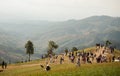 CHAINGRAI THAILAND JAN,1 2023: An image landscape sheep farm in the holiday and tourism editorial popular in the asian park