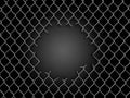 Chainlink fence with hole