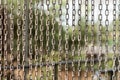 Chains curtain for safty. Royalty Free Stock Photo