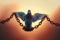 Chains undone Pigeon shadow escapes, symbolizing freedom in the morning light