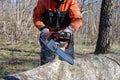 Chainsaw in action