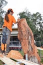 Chainsaw Art.