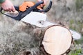 Chainsaw blade cutting log of wood Royalty Free Stock Photo