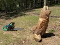 Chainsaw Art Carving